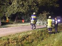 H0 - Baum auf Fahrbahn