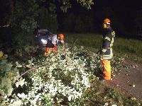H0 - Baum auf Fahrbahn