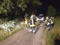 H0 - Baum auf Fahrbahn
