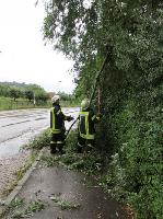 H0 - Baum auf Fahrbahn
