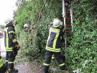 H0 - Baum auf Fahrbahn