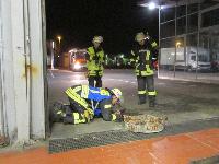 Fehlalarmierung