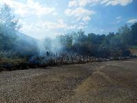 B2 - Flächenbrand