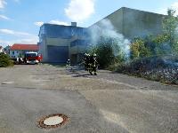 B2 - Flächenbrand