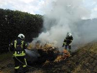 B2 - Flächenbrand