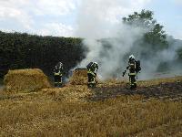 B2 - Flächenbrand