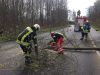 H0 - Baum auf Fahrbahn